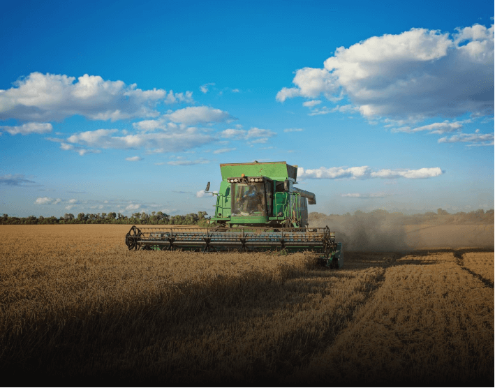 Grain handling and storage